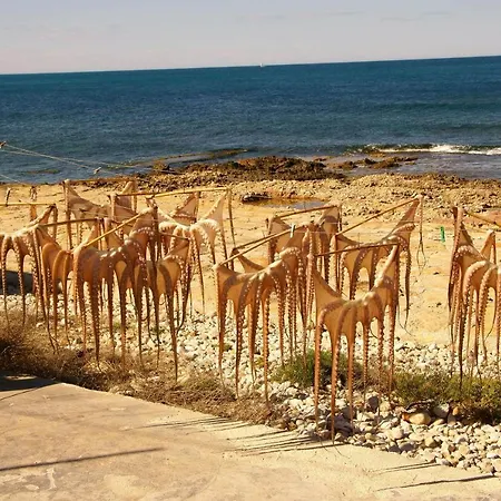 Coqueto En El Retiro *