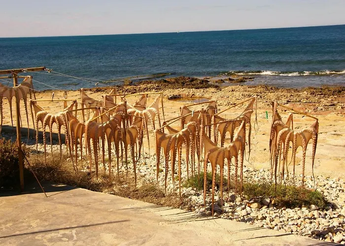 Coqueto En El Retiro *