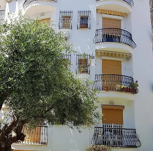 Coqueto En El Retiro